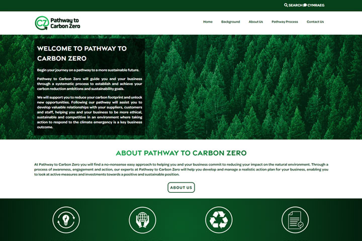 screenshot pathway to carbon zero website